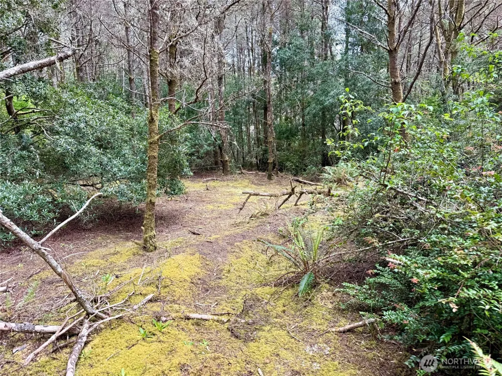 1007 Sand Castle Lane Westport, WA 98595