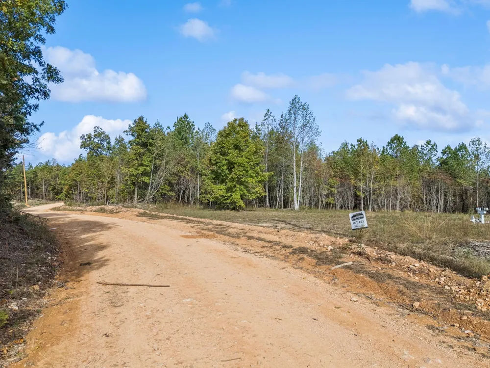 0 Old Mail Road Duck River, TN 38454