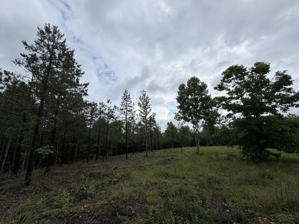 0 Old Mail Road Duck River, TN 38454