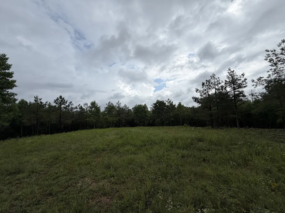 0 Old Mail Road Duck River, TN 38454