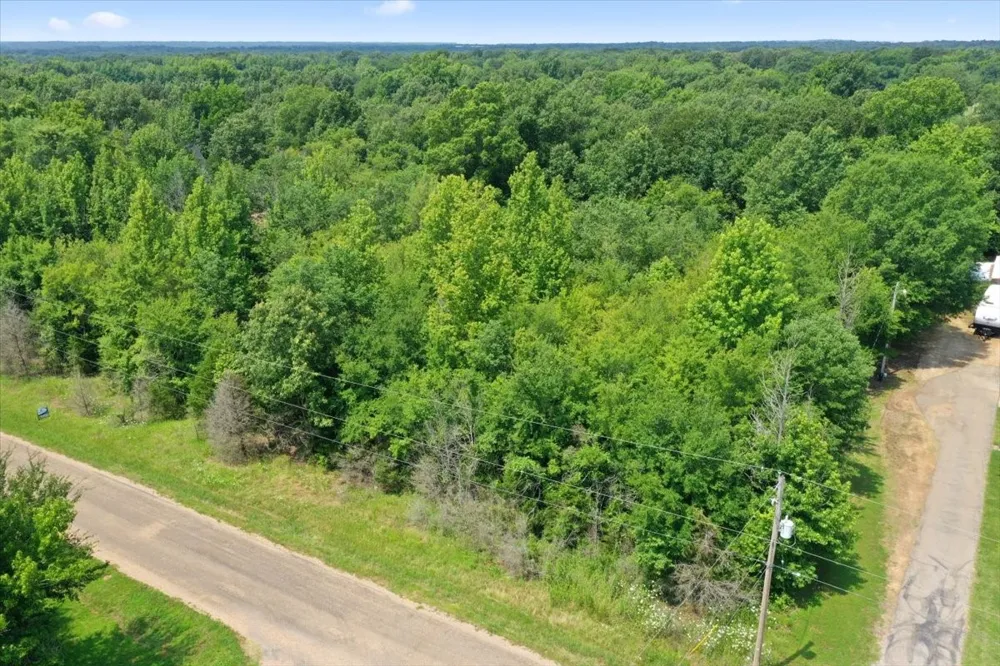 CR 4425 Mt Pleasant, TX 75455