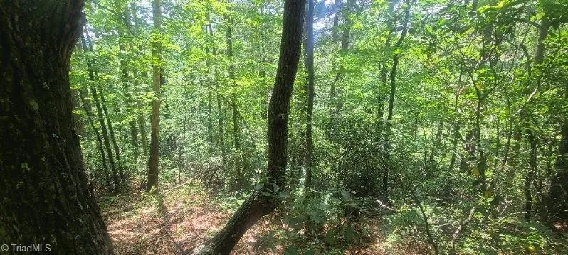 000 Wild Turkey Road Ferguson, NC 28624