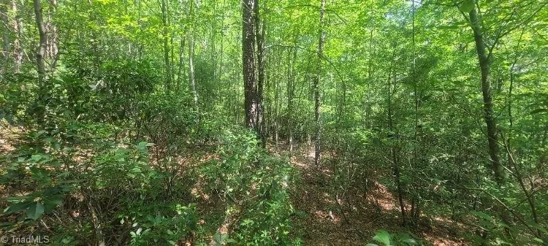 000 Wild Turkey Road Ferguson, NC 28624
