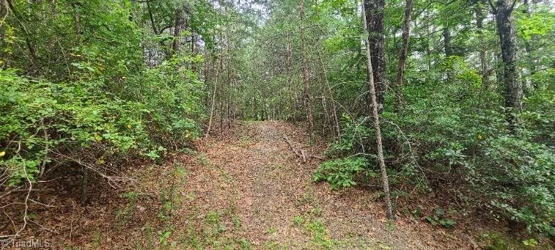 000 Wild Turkey Road Ferguson, NC 28624