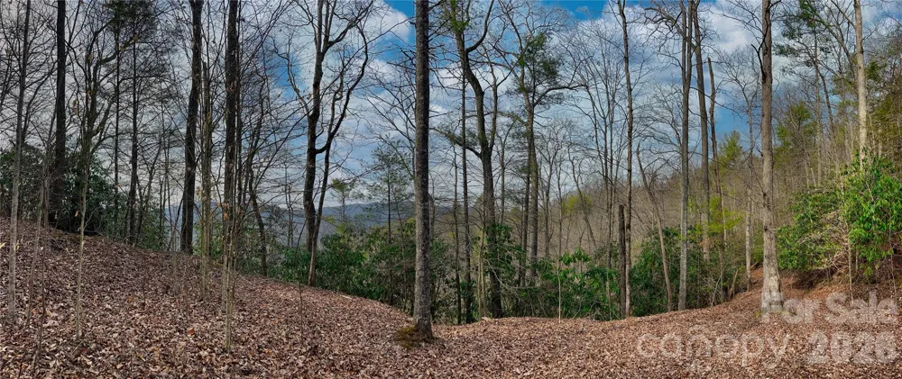Lot 127 Bear River Lodge Trail Marshall, NC 28753