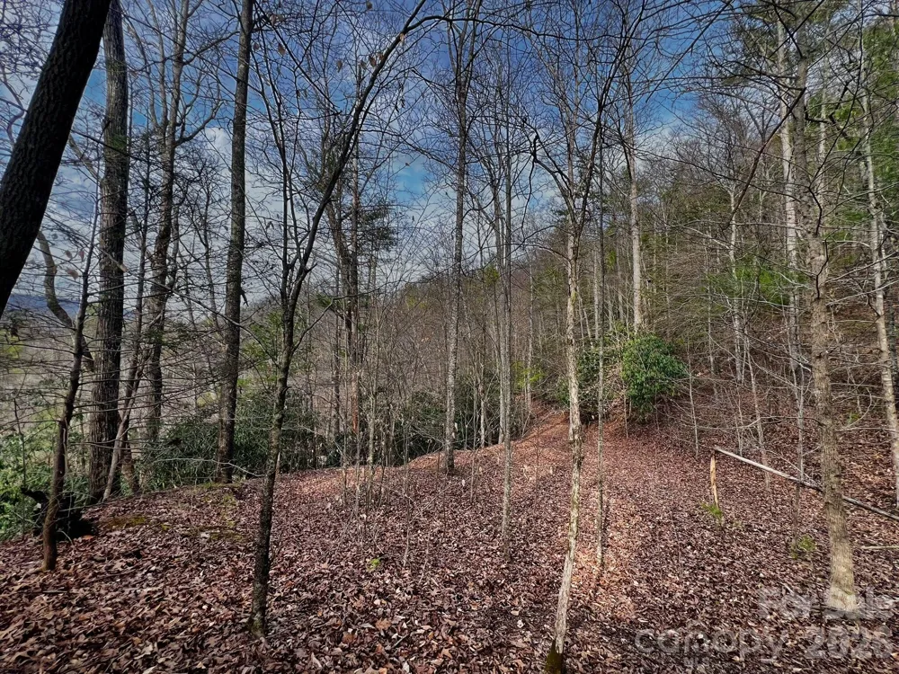 Lot 127 Bear River Lodge Trail Marshall, NC 28753