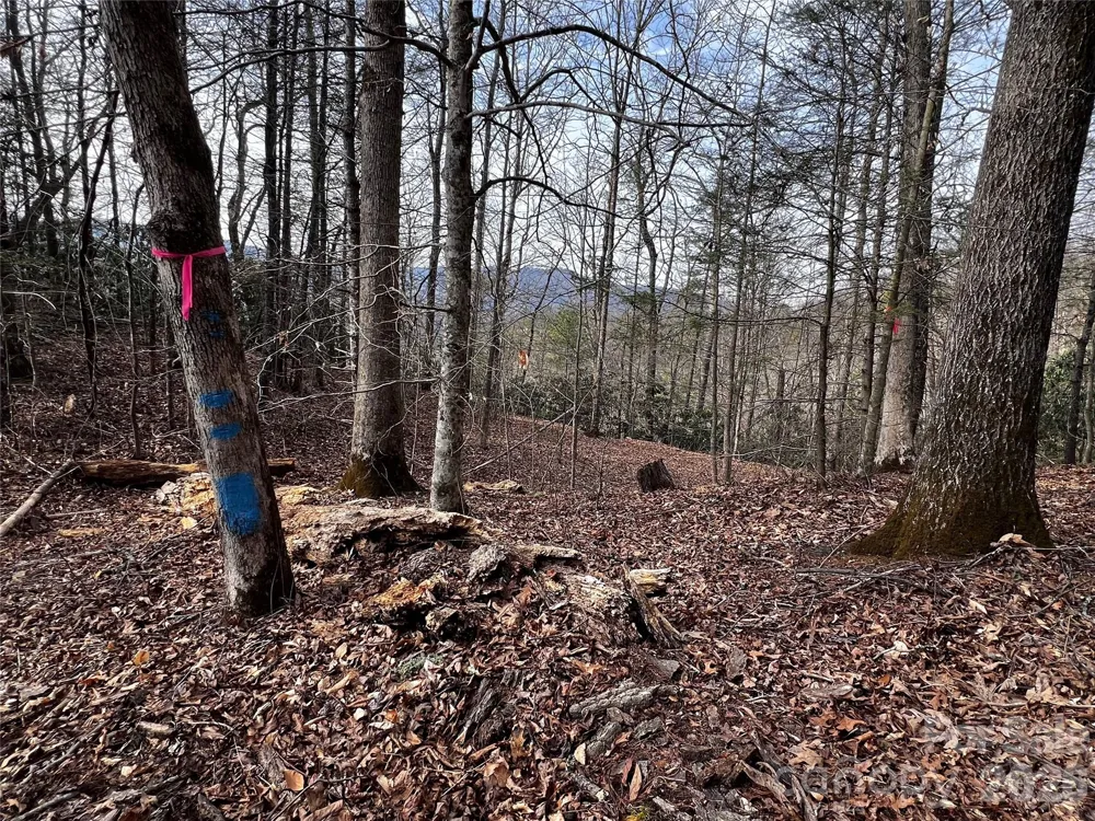 Lot 127 Bear River Lodge Trail Marshall, NC 28753