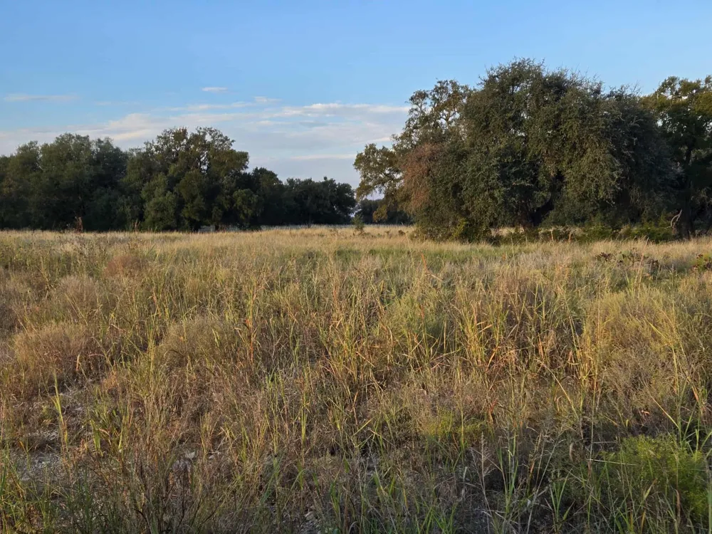 317 Yellowstone Drive Oglesby, TX 76561