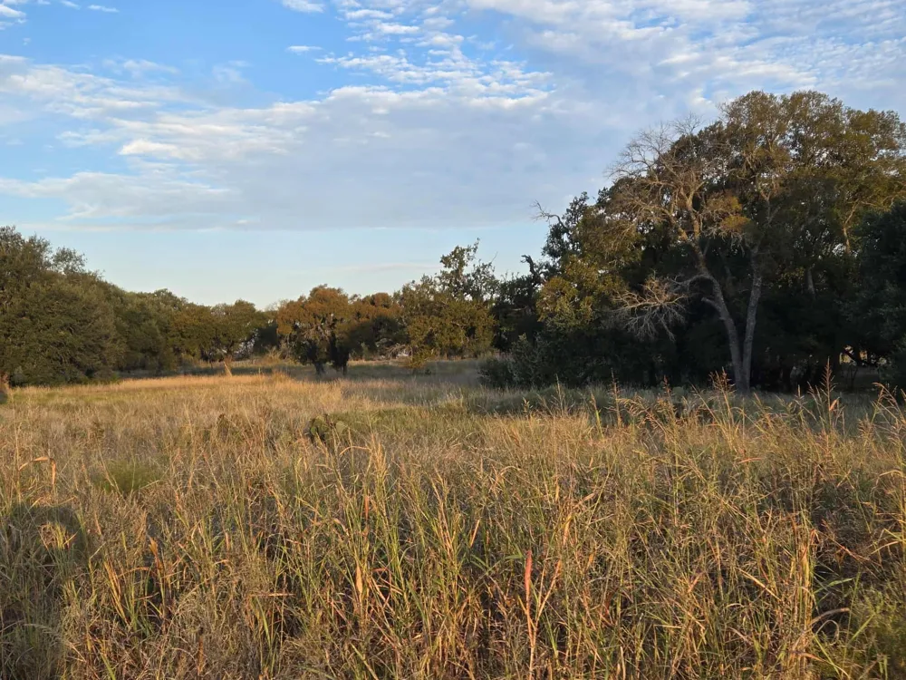 317 Yellowstone Drive Oglesby, TX 76561