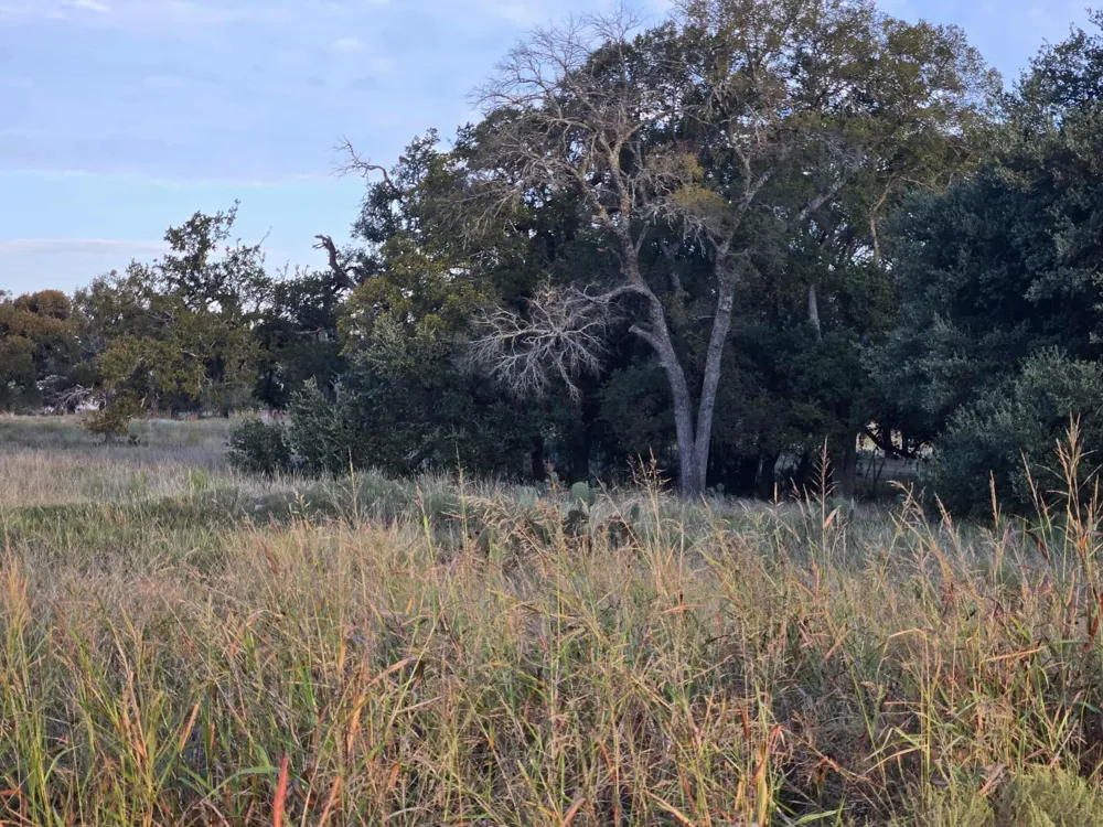317 Yellowstone Drive Oglesby, TX 76561