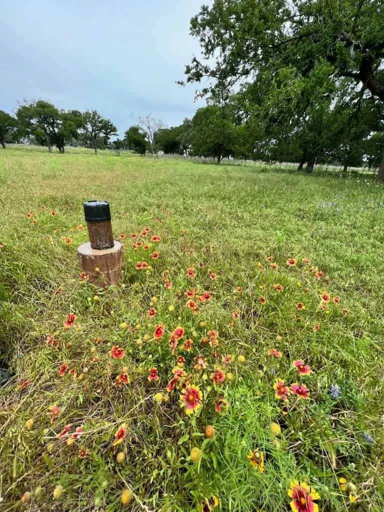 317 Yellowstone Drive Oglesby, TX 76561