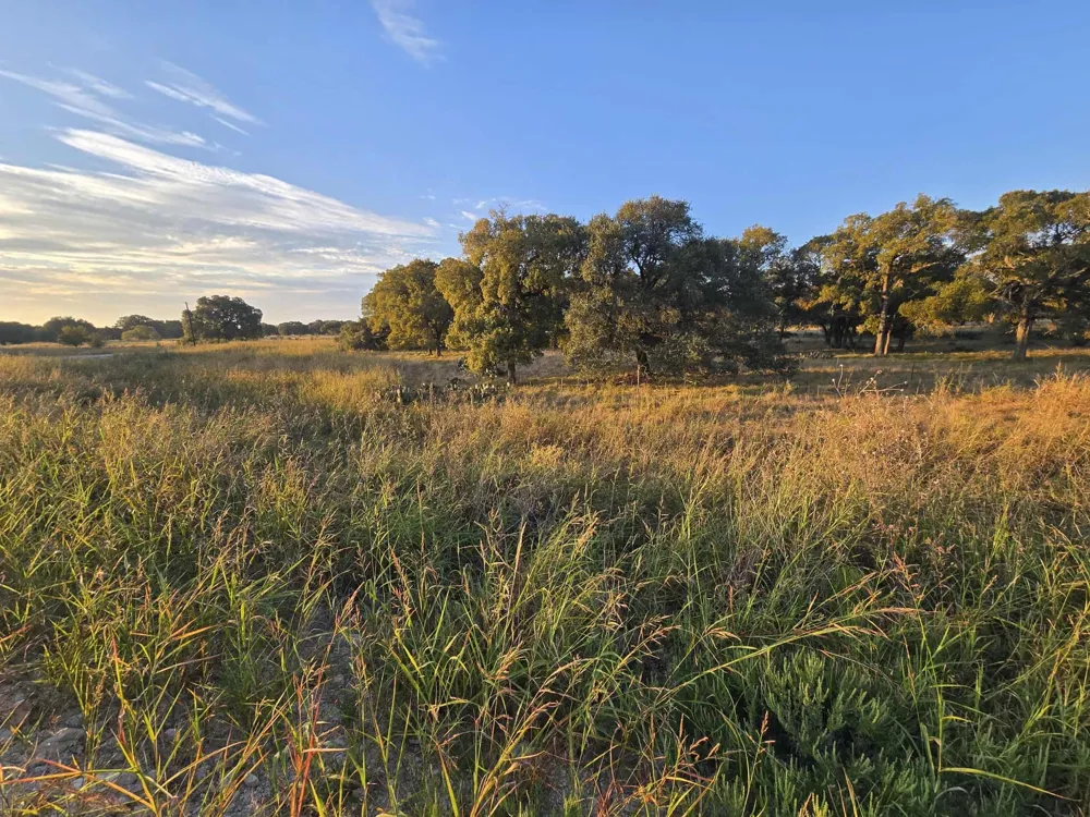 317 Yellowstone Drive Oglesby, TX 76561