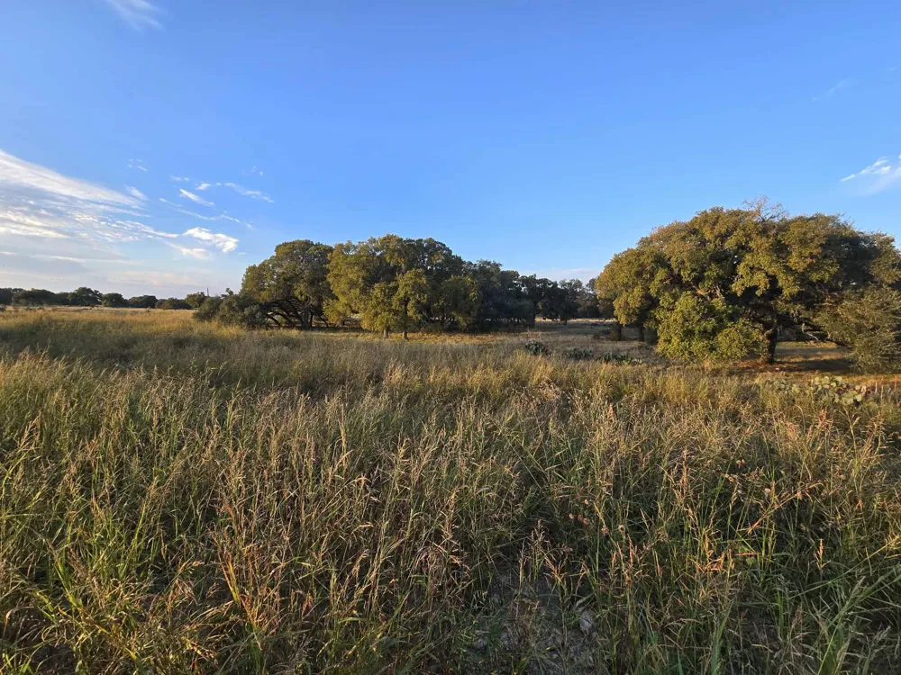 317 Yellowstone Drive Oglesby, TX 76561