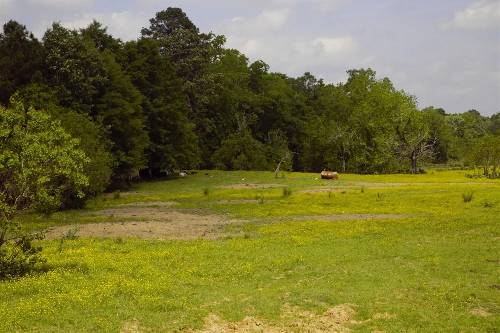 350 Rotan Corrigan, TX 75939