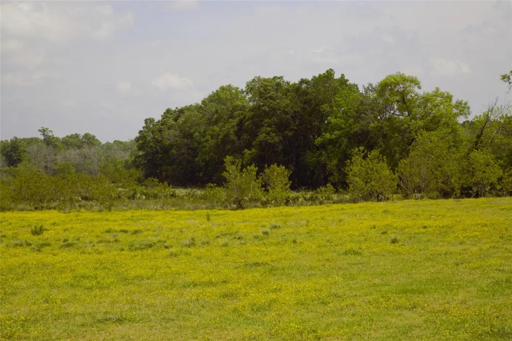 350 Rotan Corrigan, TX 75939