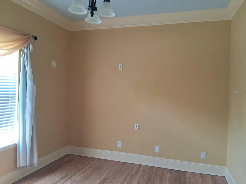 915 OLD WELCOME ROAD Lithia, FL 33547
