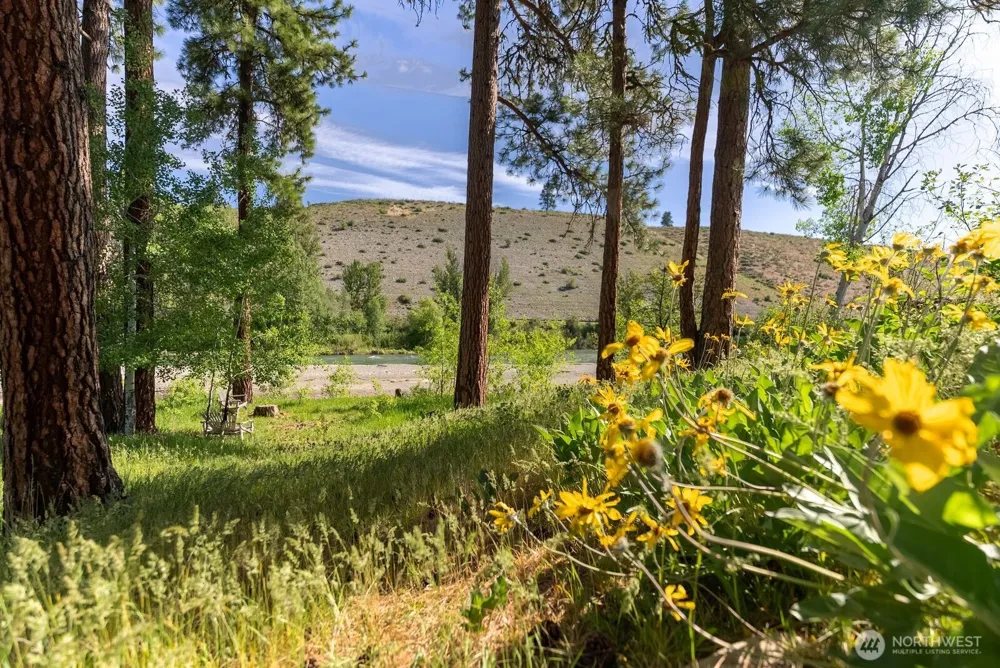 19 Mariposa Lane Winthrop, WA 98862