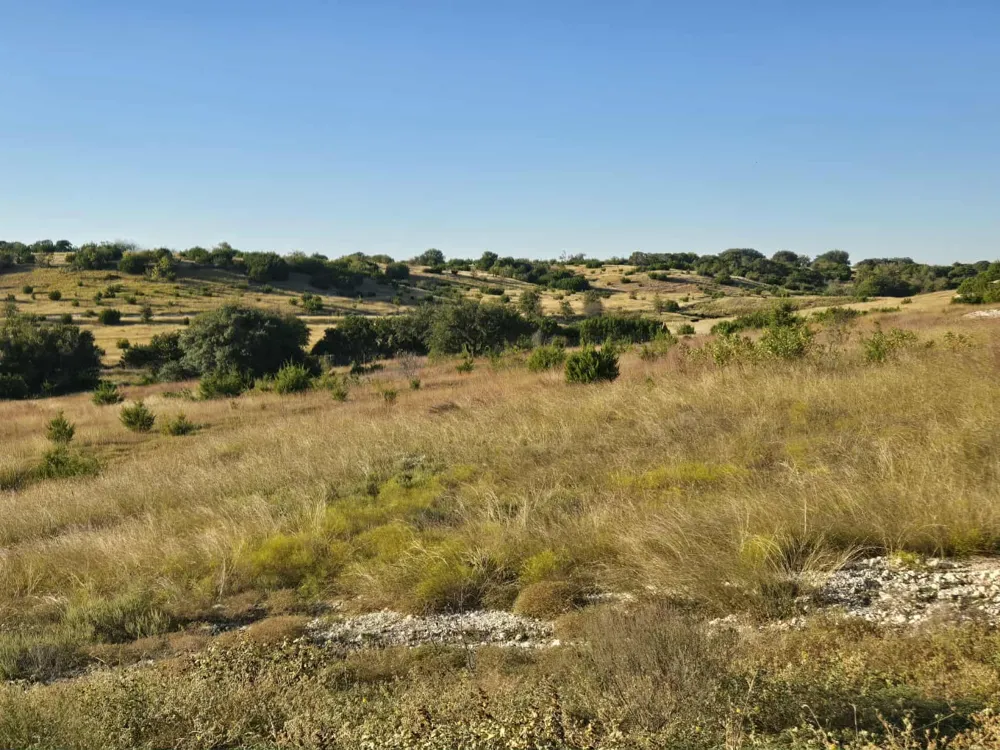 229 Grand Canyon Drive Oglesby, TX 76561