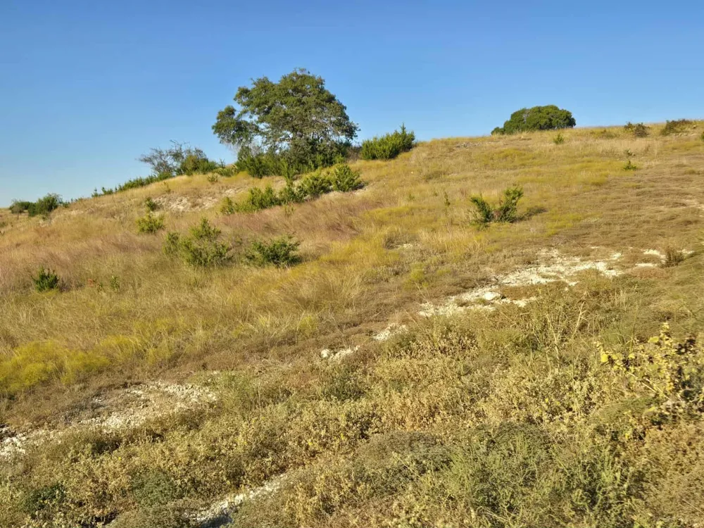 229 Grand Canyon Drive Oglesby, TX 76561