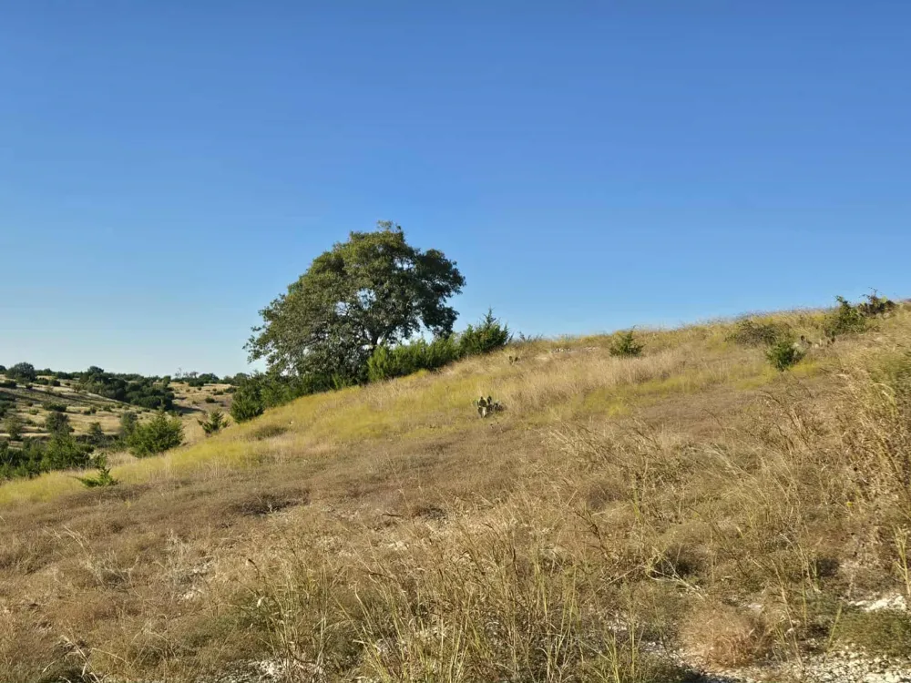 229 Grand Canyon Drive Oglesby, TX 76561