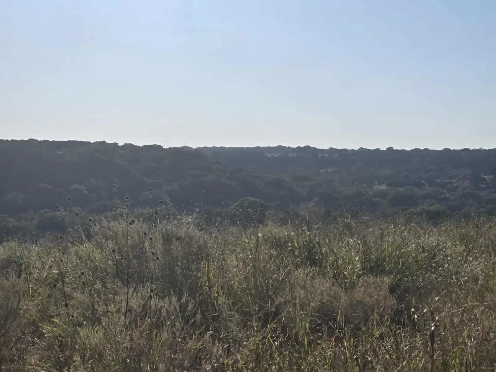229 Grand Canyon Drive Oglesby, TX 76561