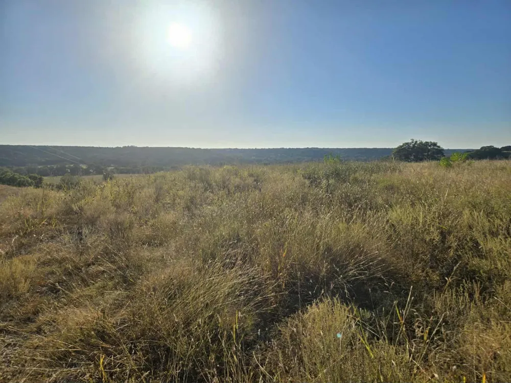 229 Grand Canyon Drive Oglesby, TX 76561