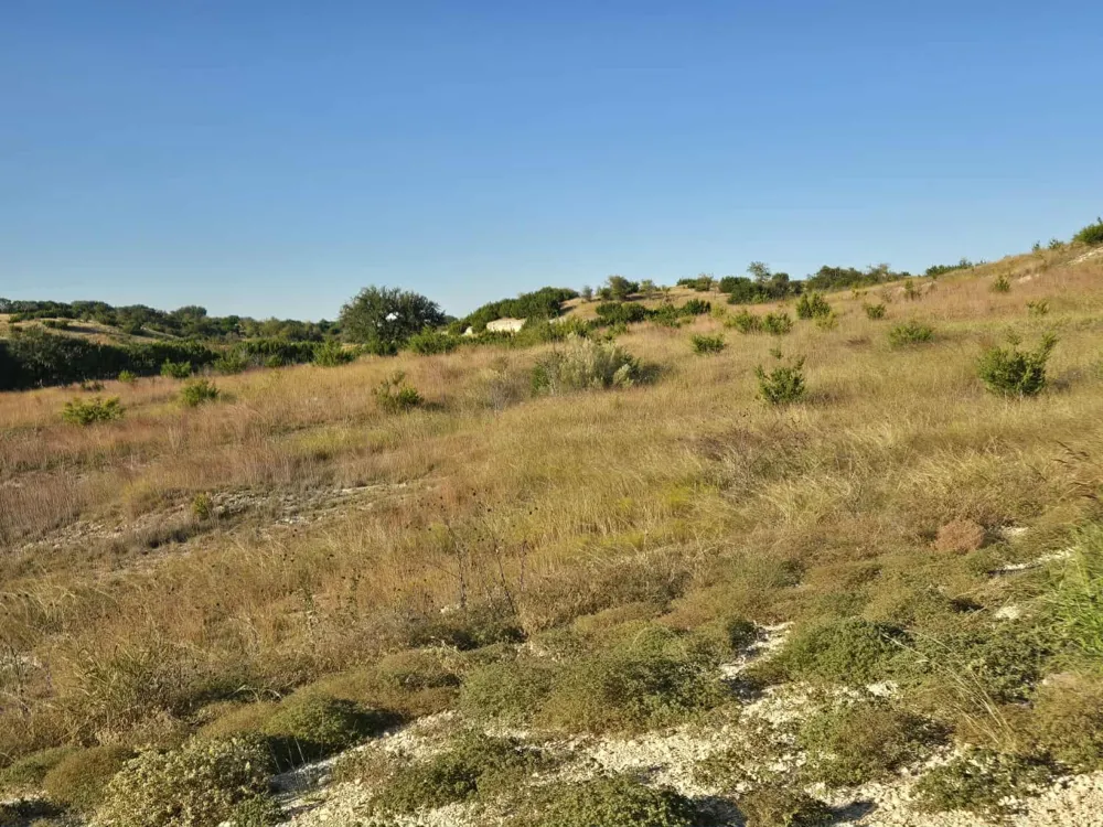 229 Grand Canyon Drive Oglesby, TX 76561