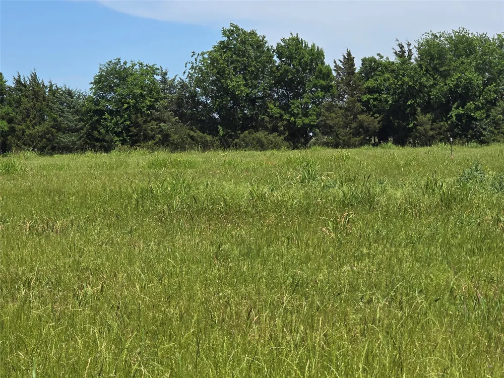 County Road 1039 Blue Ridge, TX 75424
