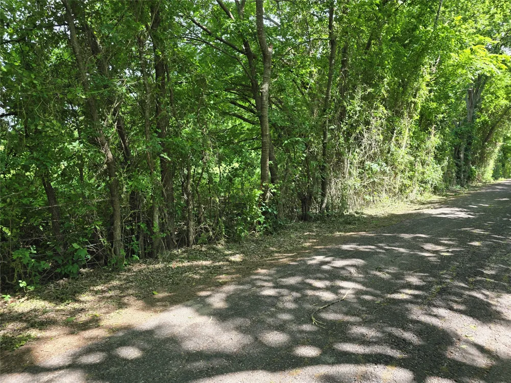 County Road 1039 Blue Ridge, TX 75424