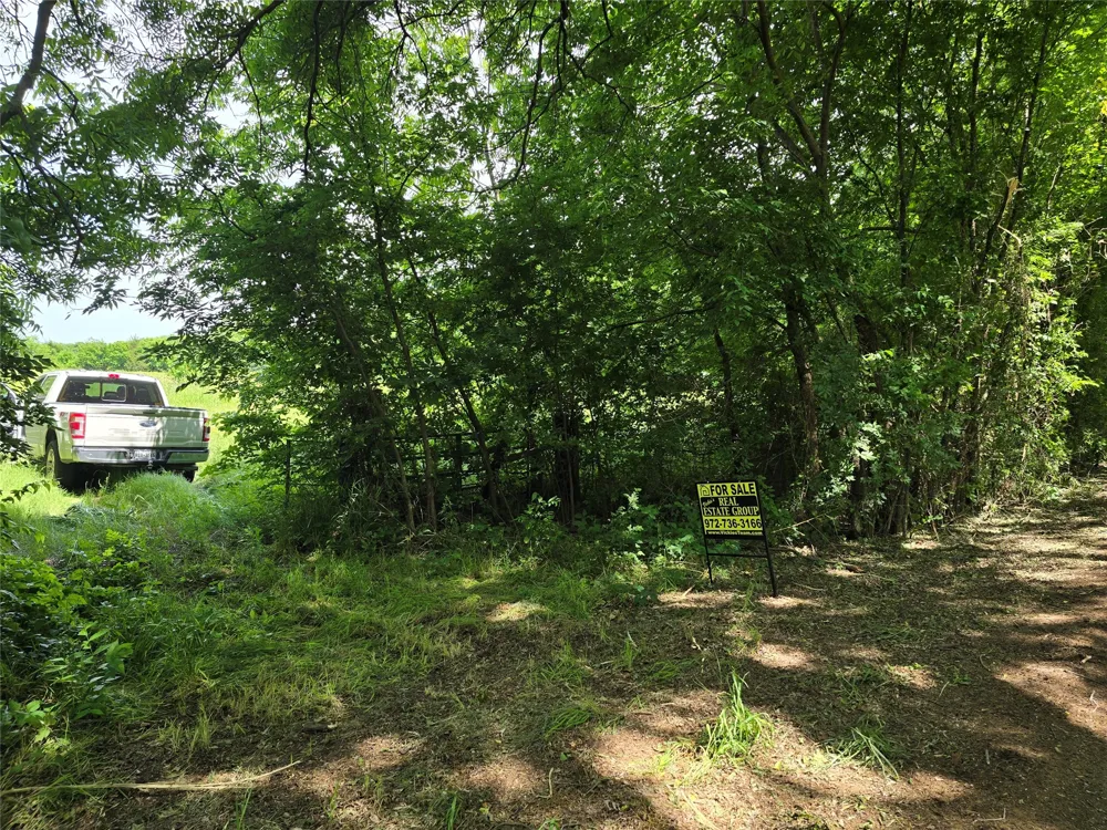 County Road 1039 Blue Ridge, TX 75424