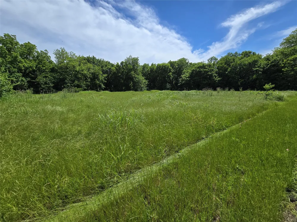 County Road 1039 Blue Ridge, TX 75424
