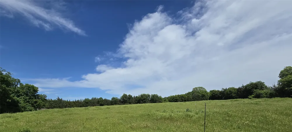 County Road 1039 Blue Ridge, TX 75424