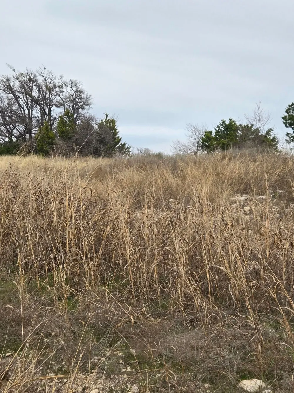 134 Yellowstone Drive Oglesby, TX 76561