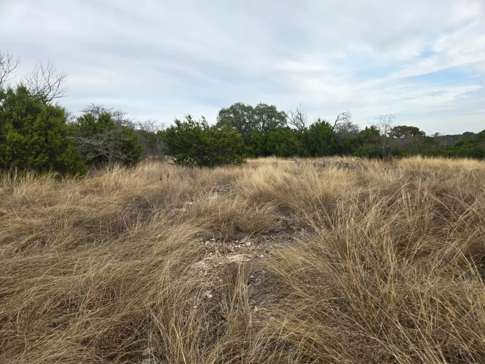 134 Yellowstone Drive Oglesby, TX 76561