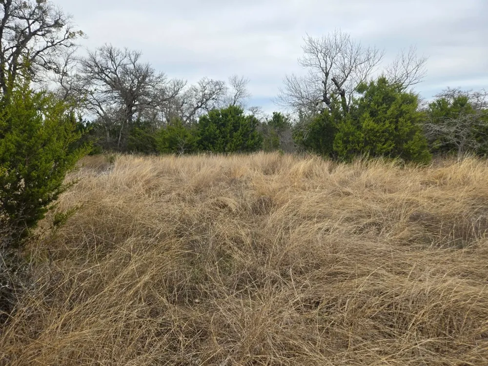 134 Yellowstone Drive Oglesby, TX 76561