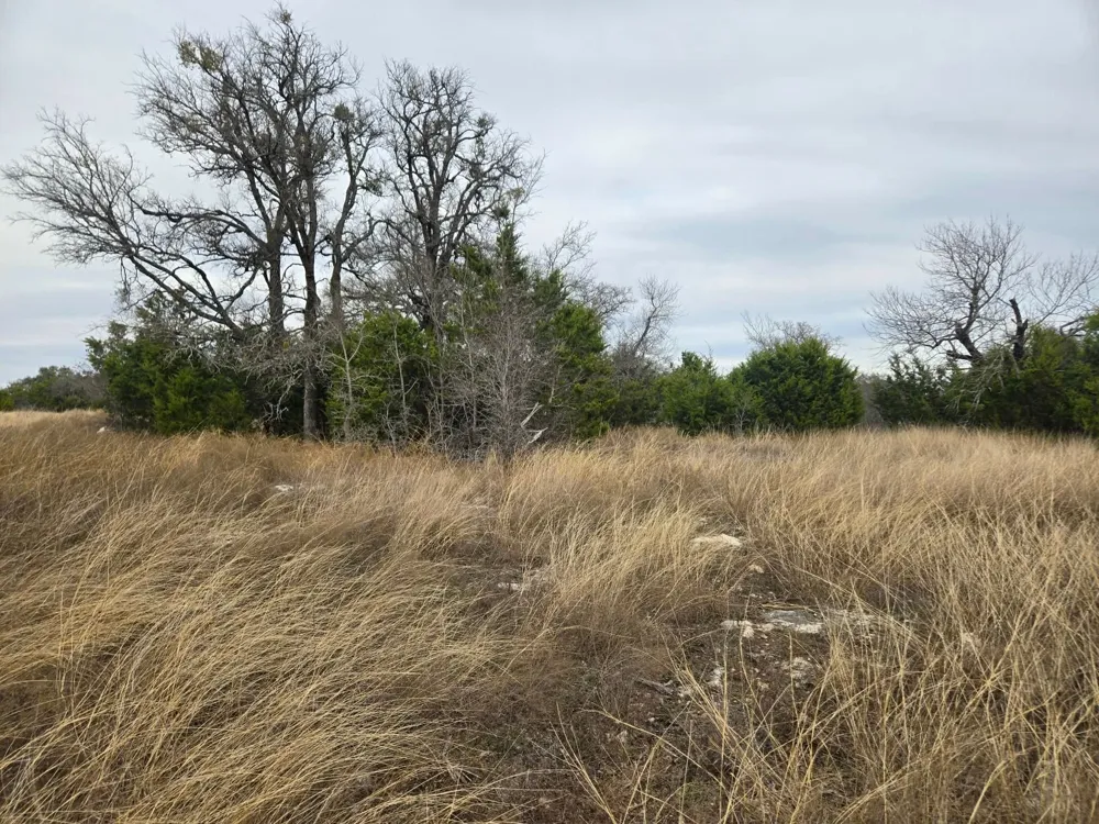 134 Yellowstone Drive Oglesby, TX 76561