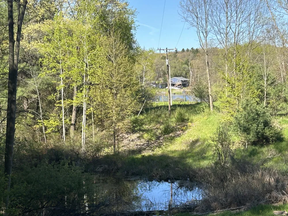 E 22 Mile Road Sand Lake, MI 49343