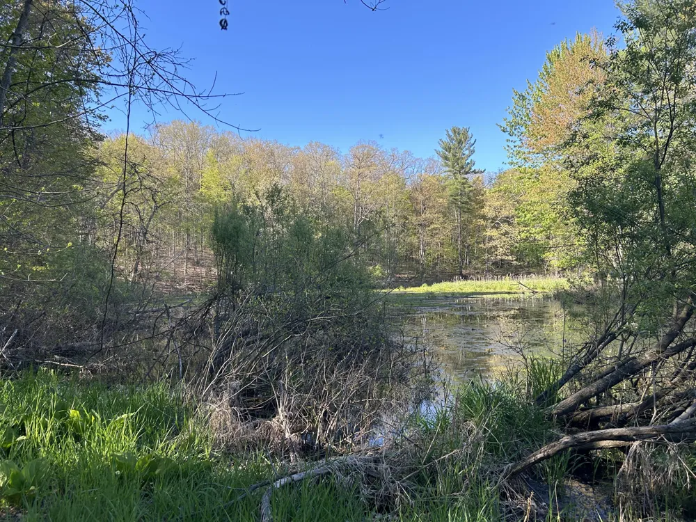 E 22 Mile Road Sand Lake, MI 49343