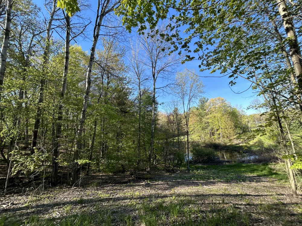 E 22 Mile Road Sand Lake, MI 49343