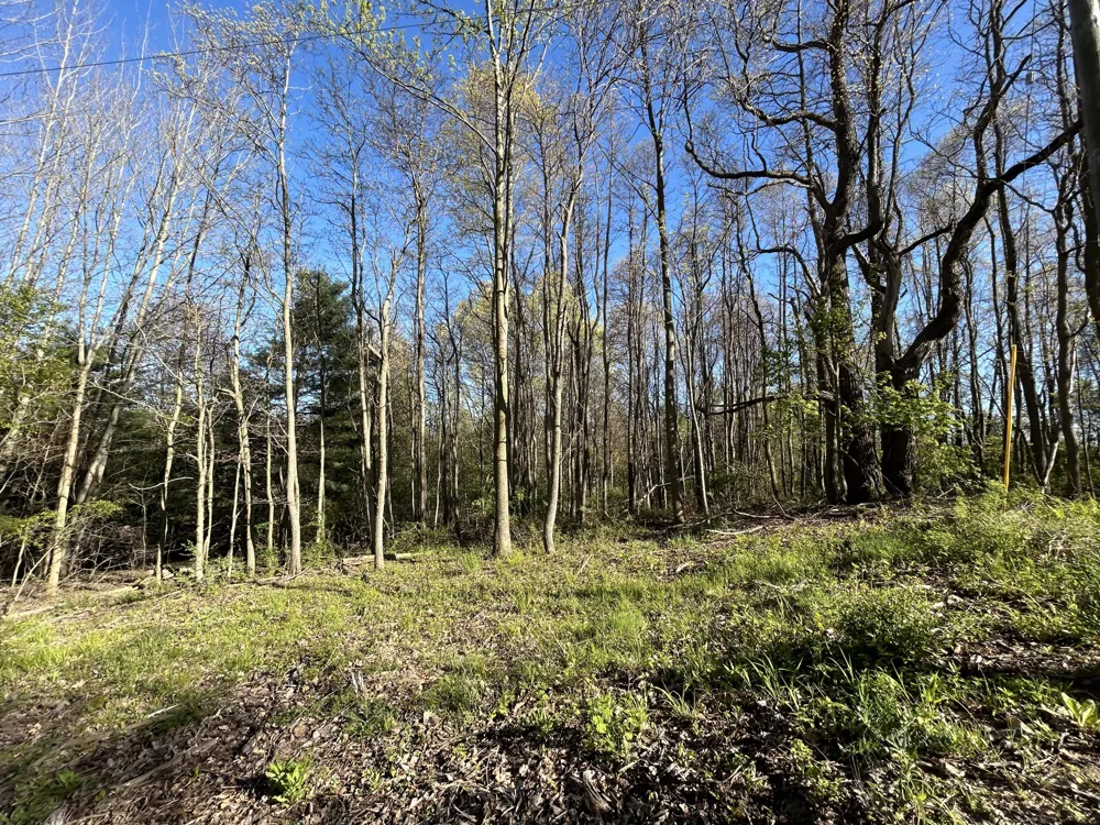 E 22 Mile Road Sand Lake, MI 49343