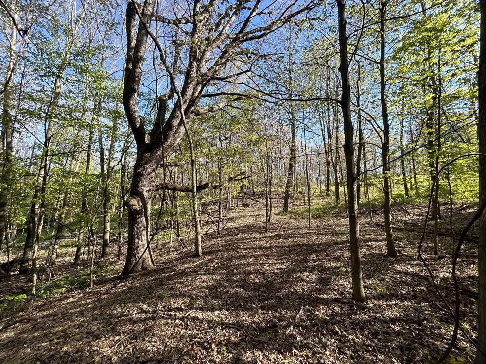 E 22 Mile Road Sand Lake, MI 49343