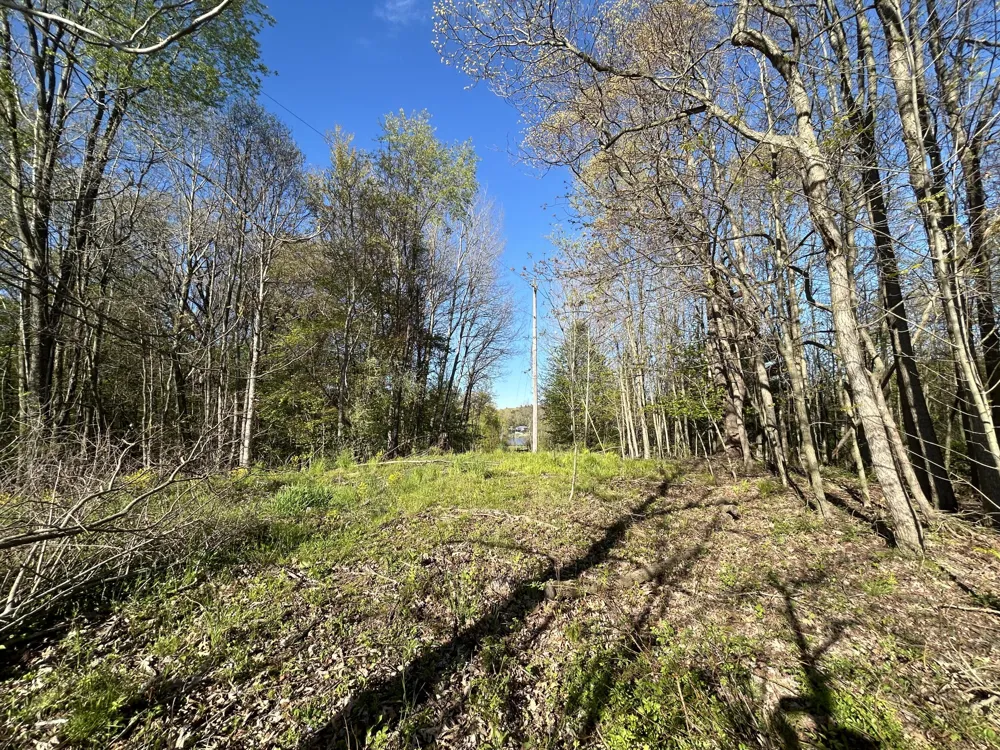 E 22 Mile Road Sand Lake, MI 49343