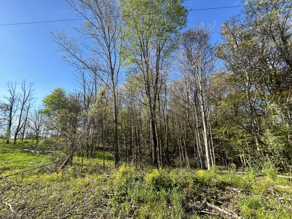 E 22 Mile Road Sand Lake, MI 49343