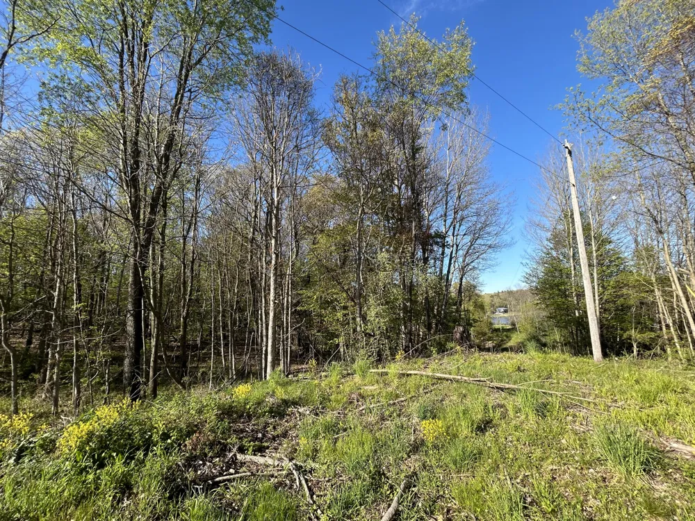 E 22 Mile Road Sand Lake, MI 49343