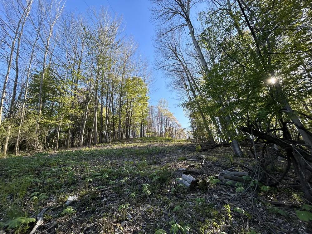 E 22 Mile Road Sand Lake, MI 49343