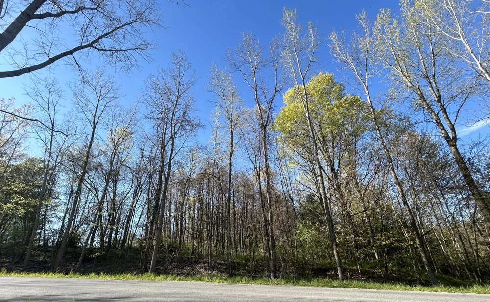 E 22 Mile Road Sand Lake, MI 49343