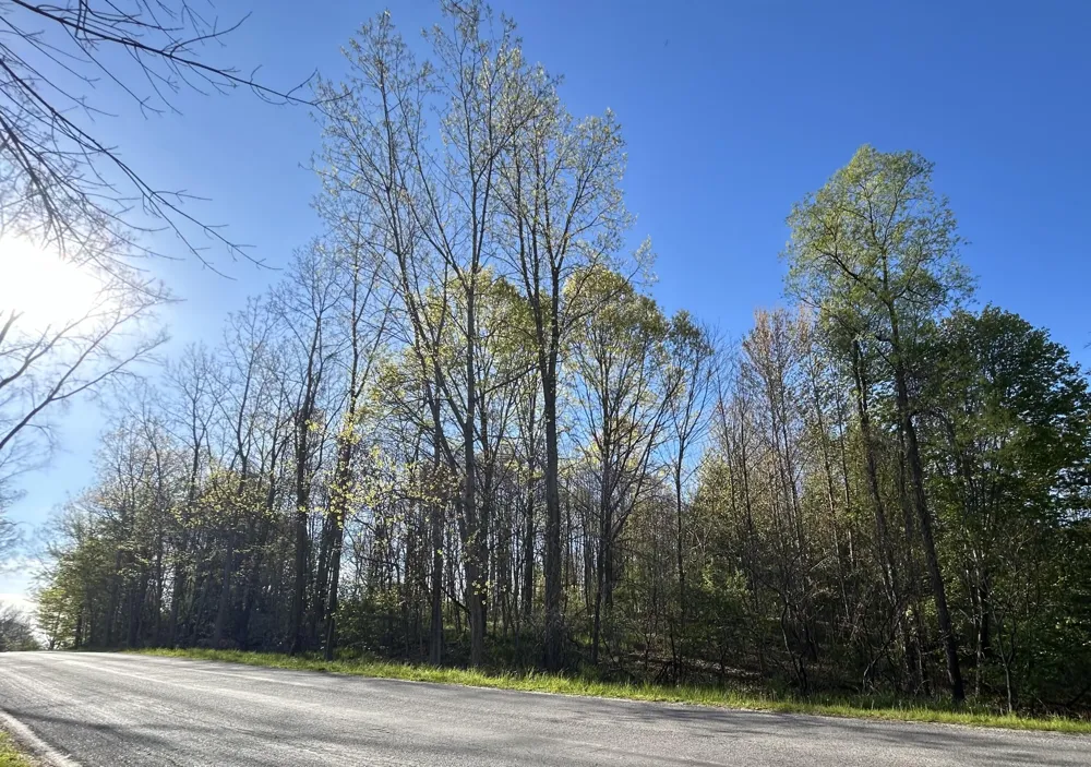 E 22 Mile Road Sand Lake, MI 49343