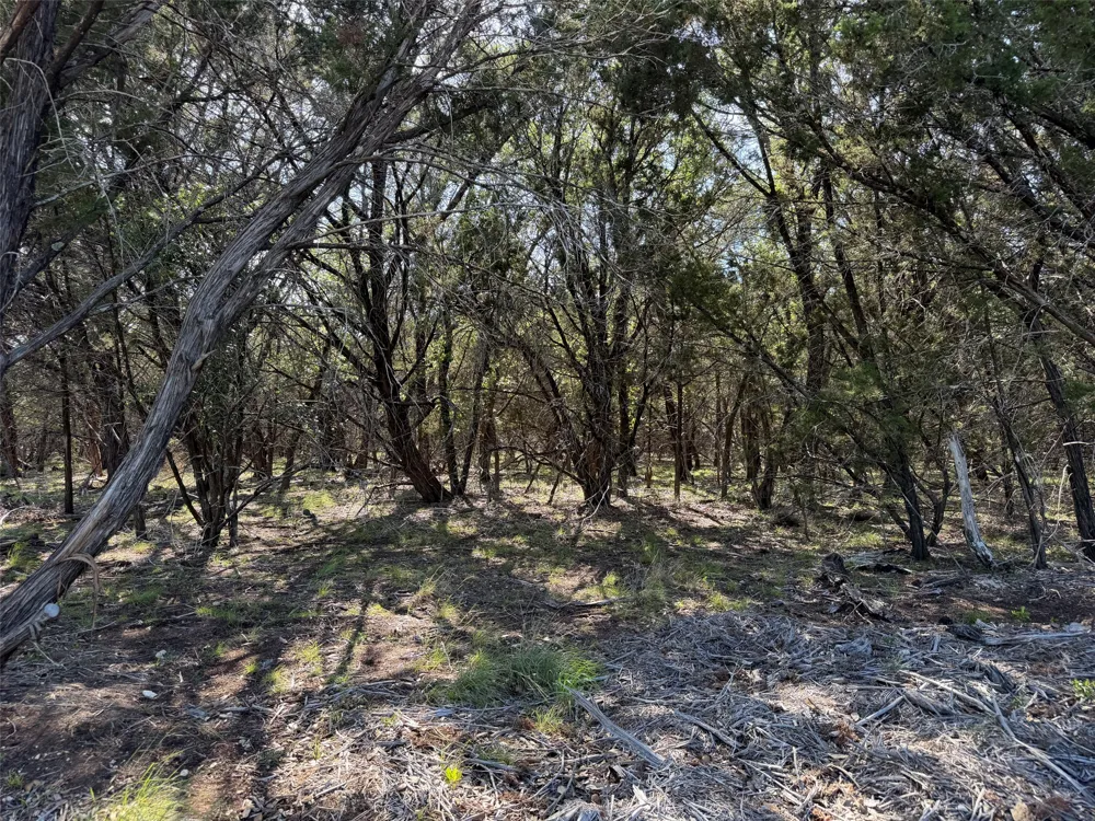 Cr 104 Road Lampasas, TX 76550