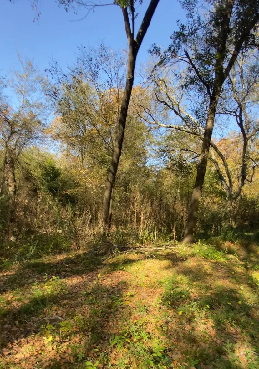 11543 st Hwy 19 Athens, TX 75752
