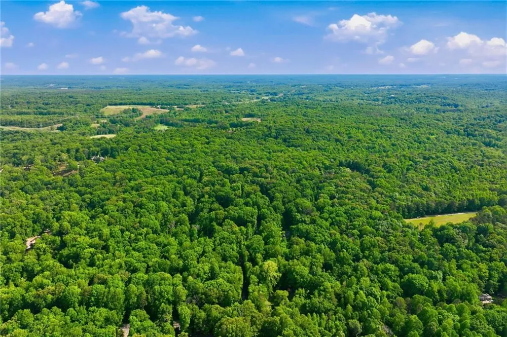 4264 Joe Chandler Road Gillsville, GA 30543